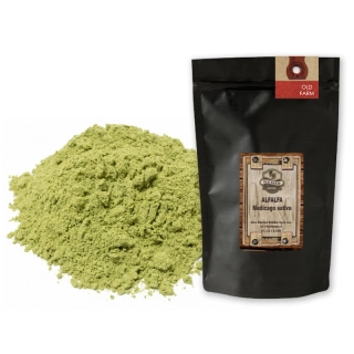 ALFALFA, PROSZEK LUCERNA SIEWNA Medicago sativa 1 KG